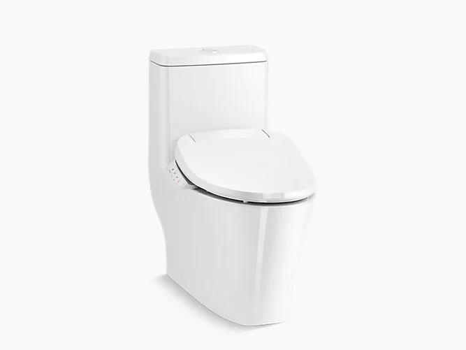 flush toilet with skirted trapway-1